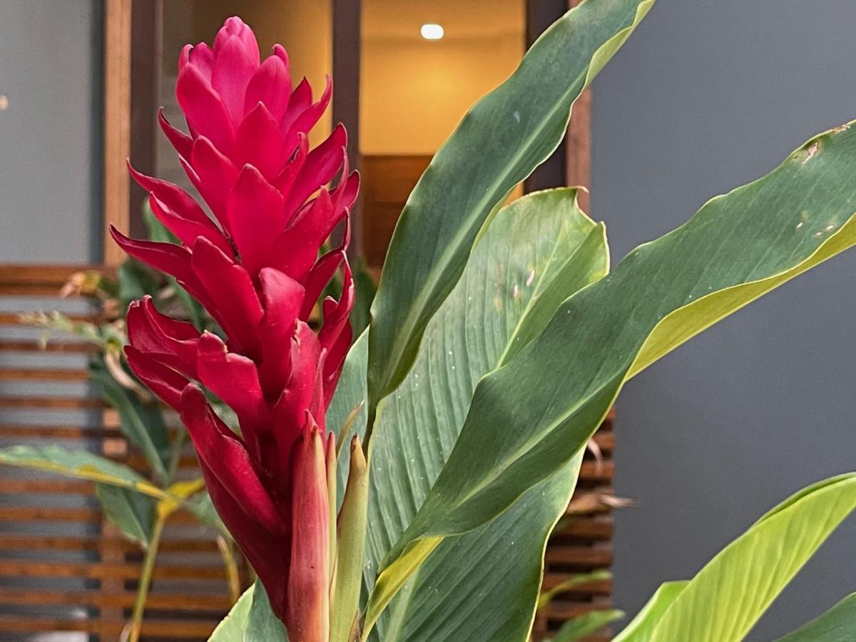 Exclusivo e Nova Pousada Vila Ipuan Paúba Exterior foto